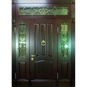 Дверь с кованными элементами DZ621