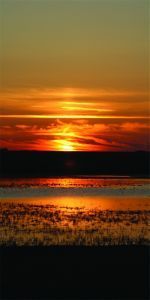 Дверь с фотопечатью Природа П78